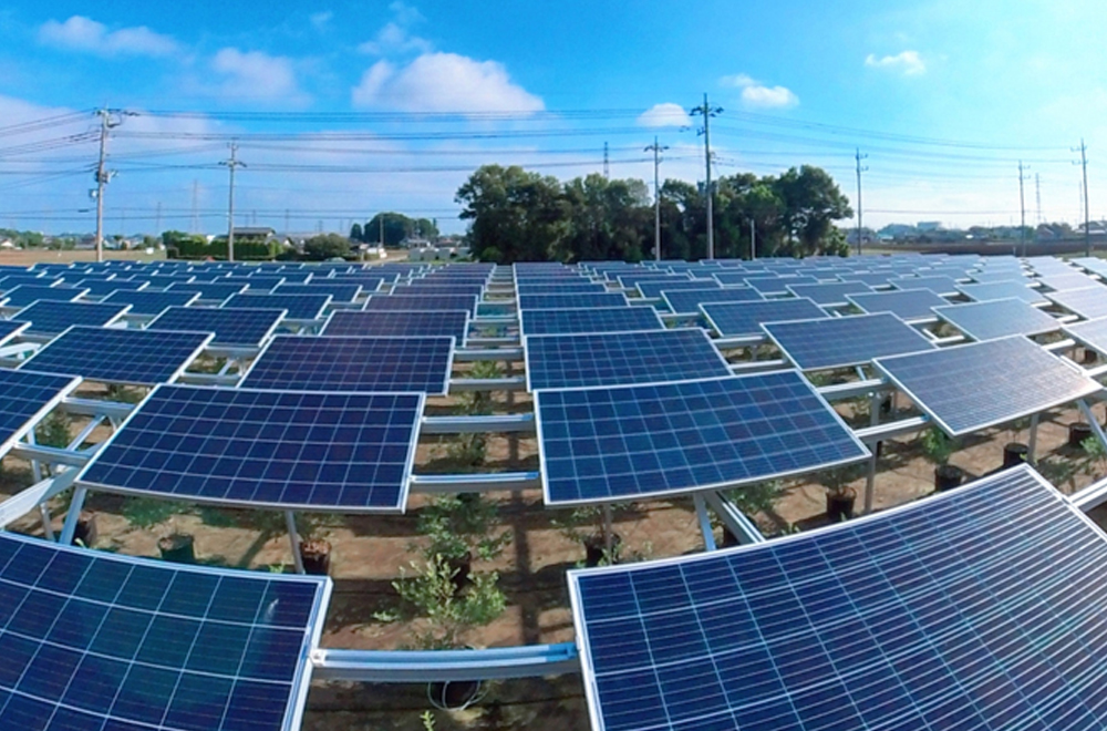 太陽光パネル清掃