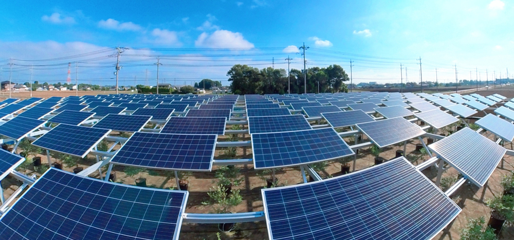 過酷な環境下での太陽光パネルの効率低下を防ぐ